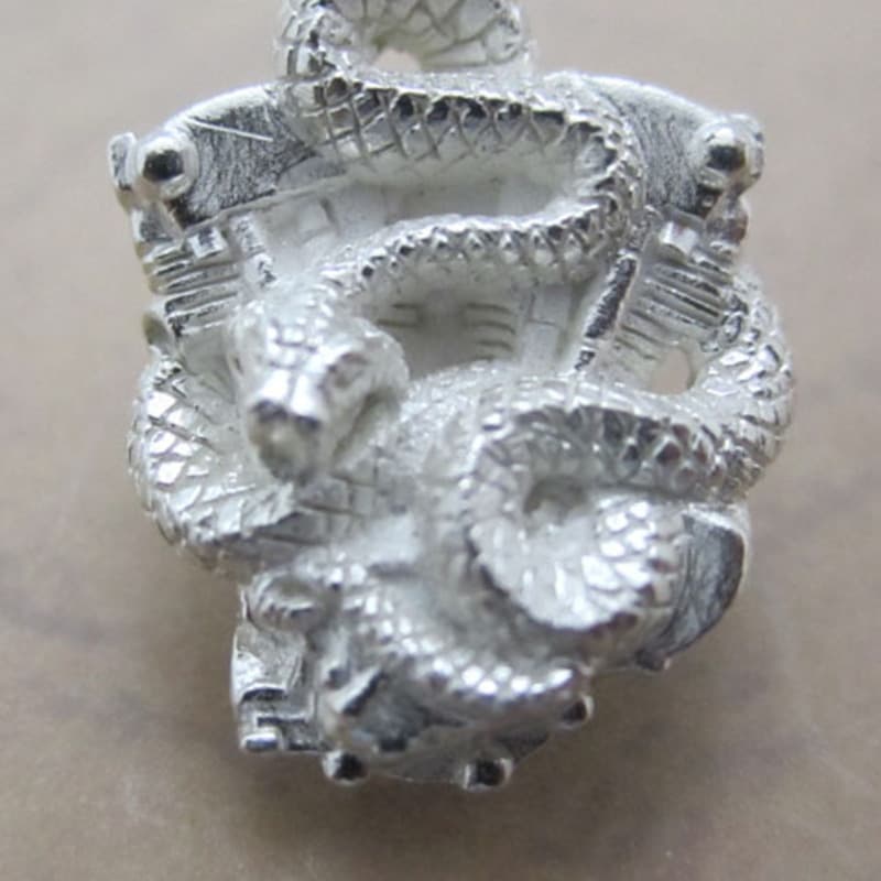 Coiled cobra